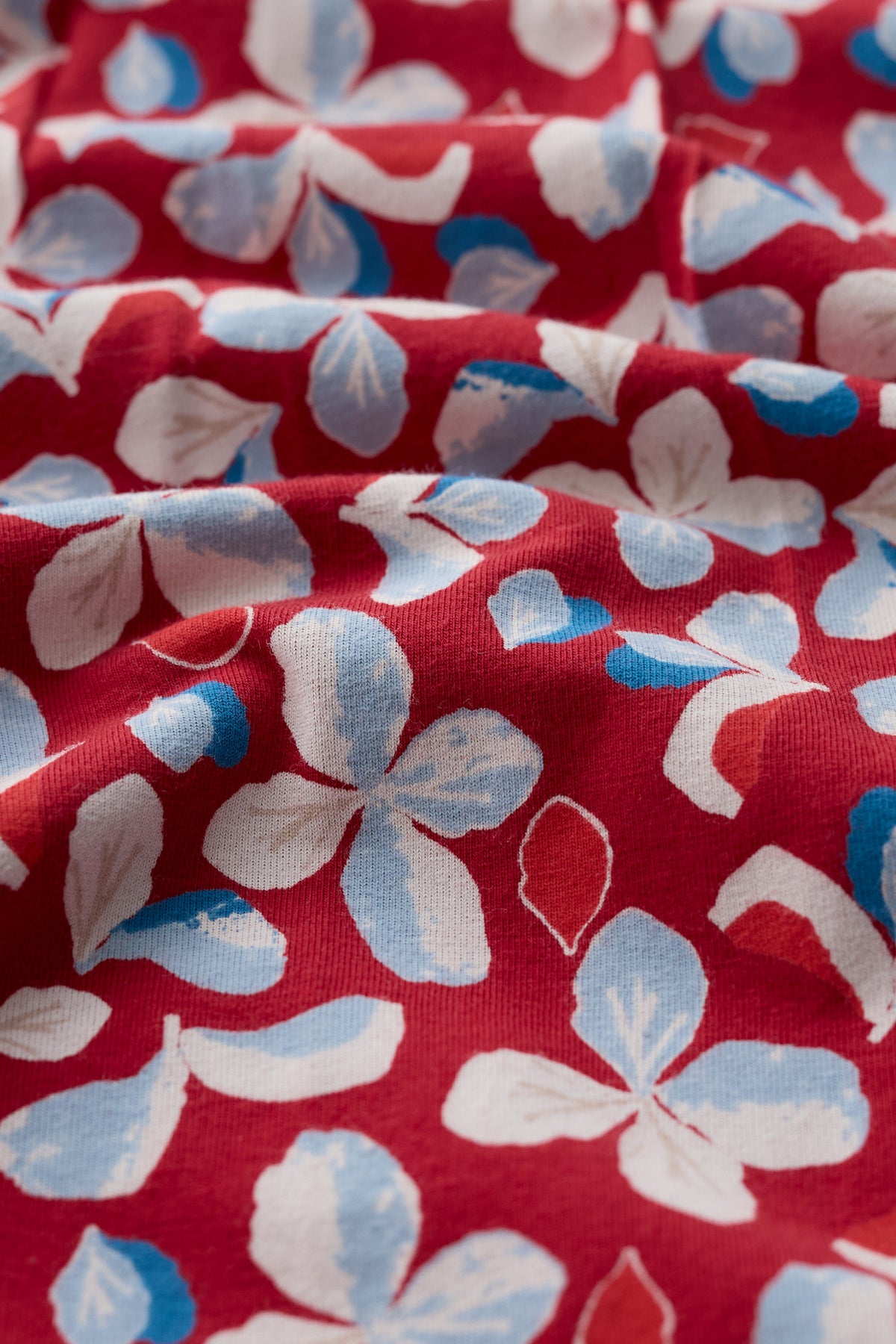 Seed Packet Short Sleeve Midi Dress